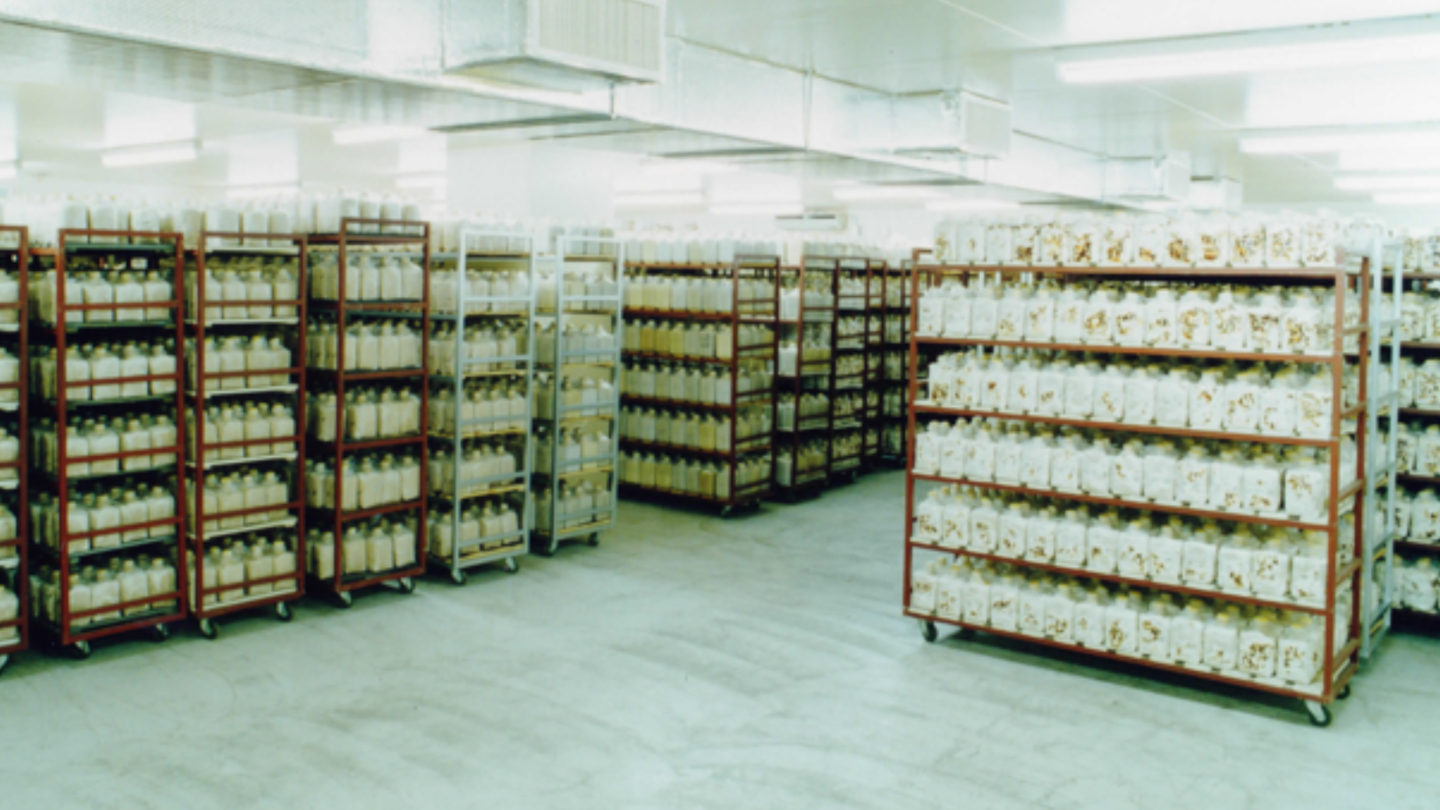 No.3 Plant/Noda Shokukin Kogyo has made solid culture possible through its unique know-how cultivated over the years. From seed culture to inoculation.