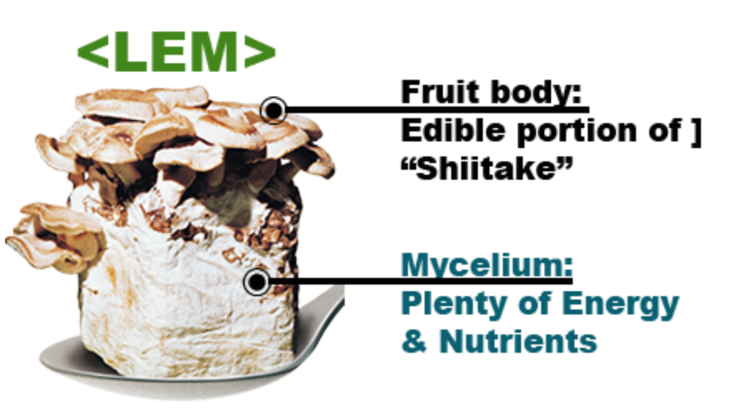 Rich in nutrients and energy Extracts from shiitake mycelial culture medium [LEM].