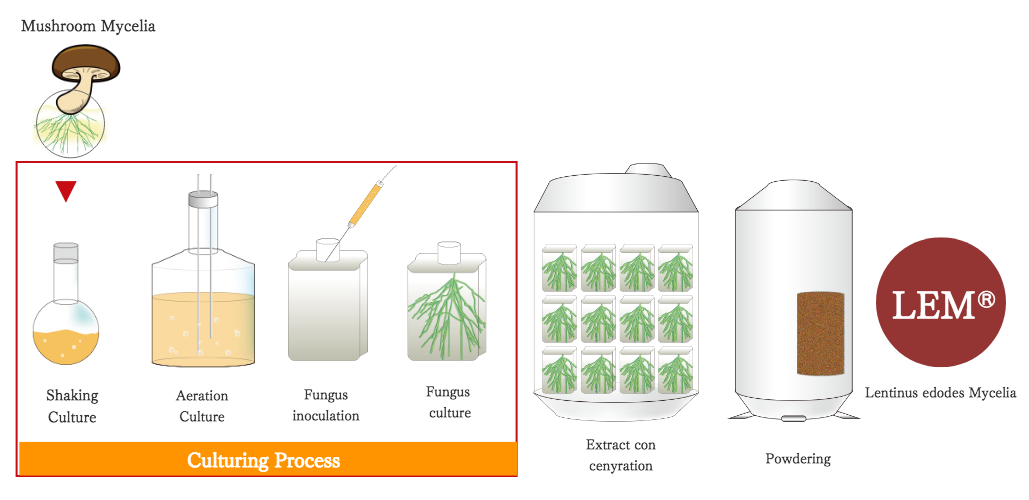 LEM Culturing Process