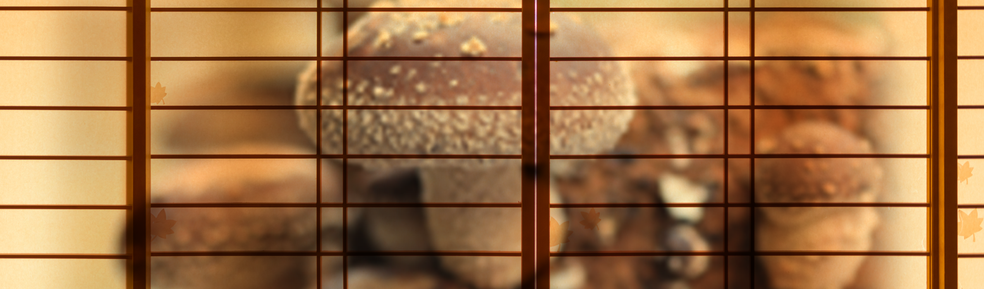 pxt000121097748024.png